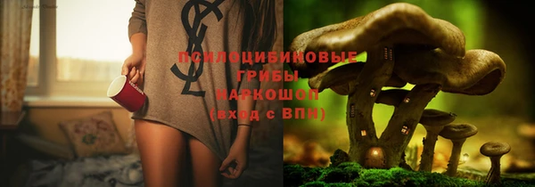 крисы Абдулино
