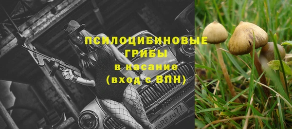 крисы Абдулино