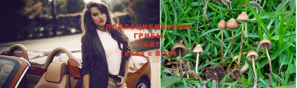 метадон Алексеевка